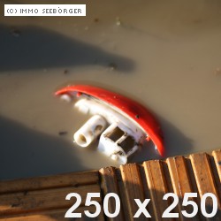 Circumstances Albert Art