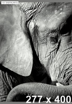 Ito the world game cover